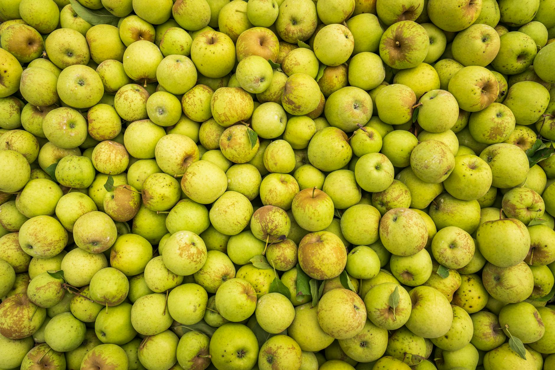 60 apple puns