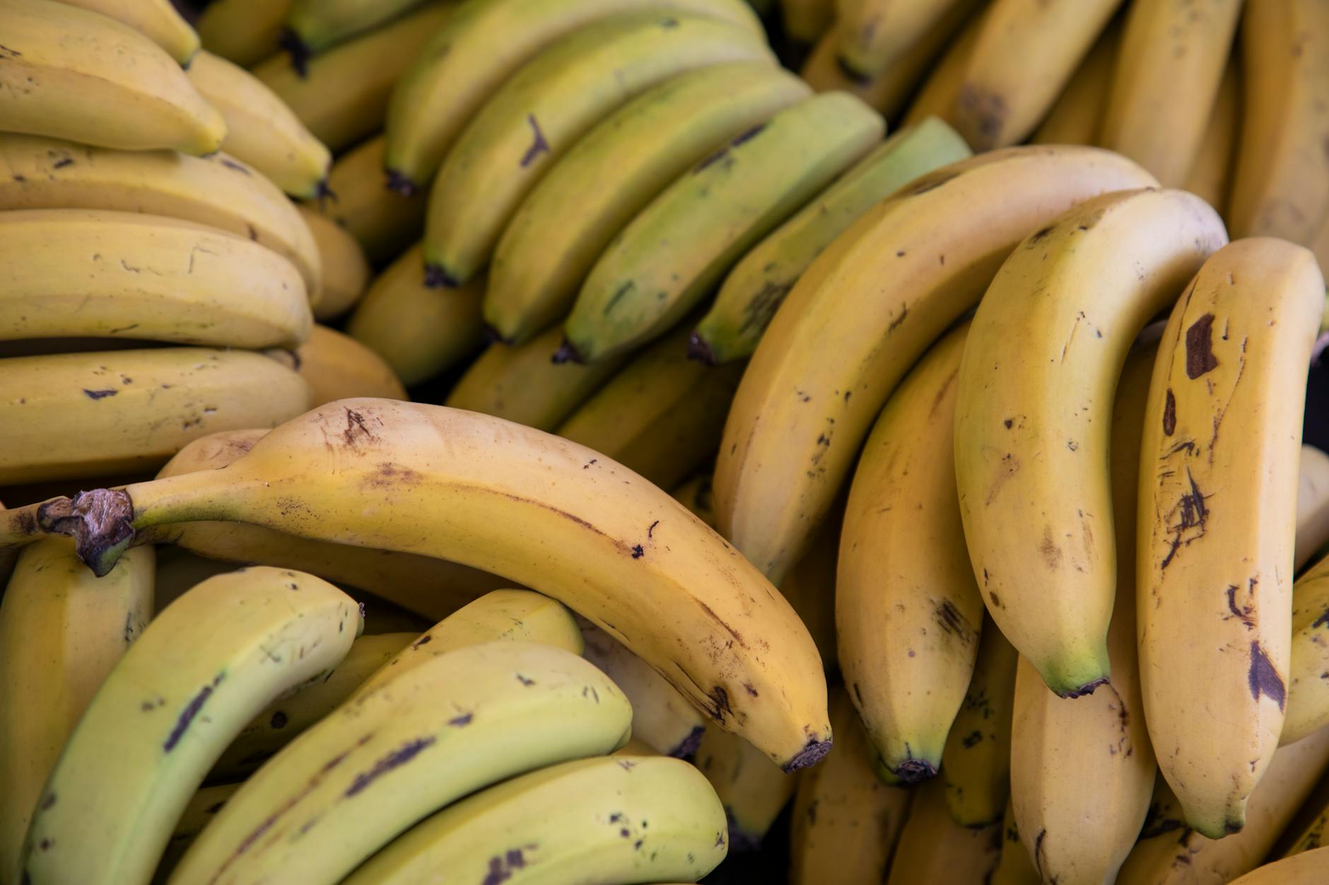 60 banana puns