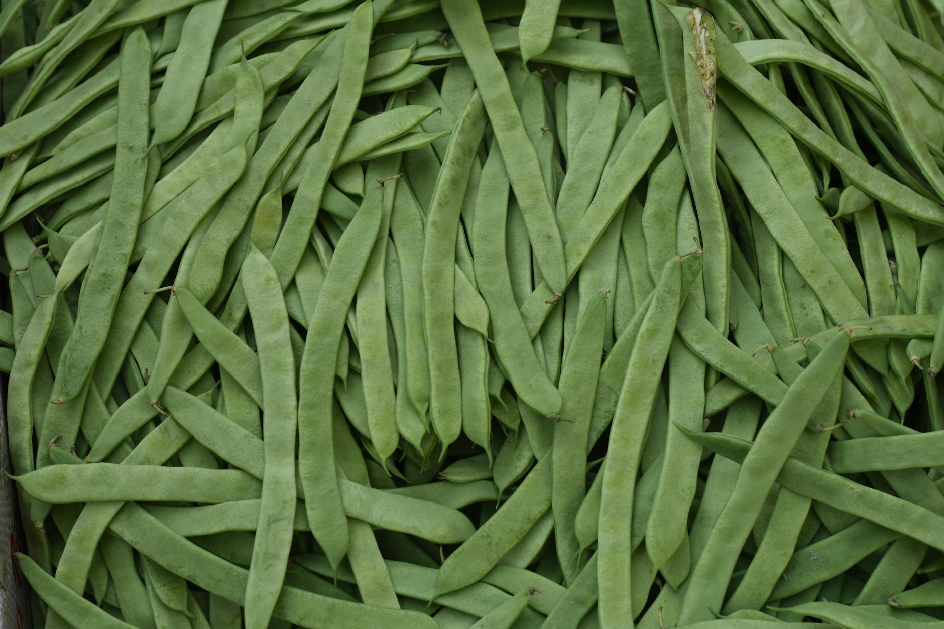 60 bean puns