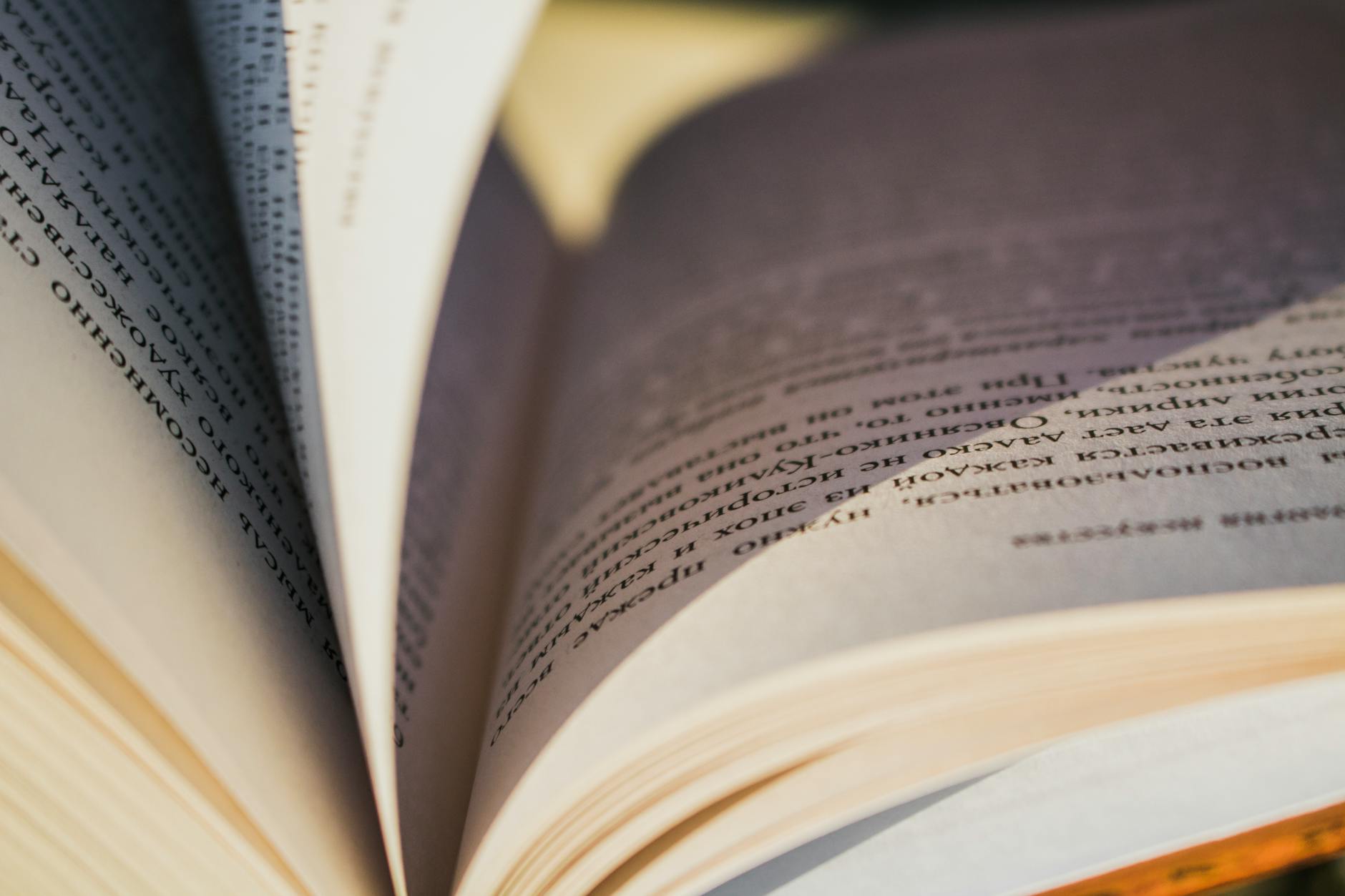60 book title puns