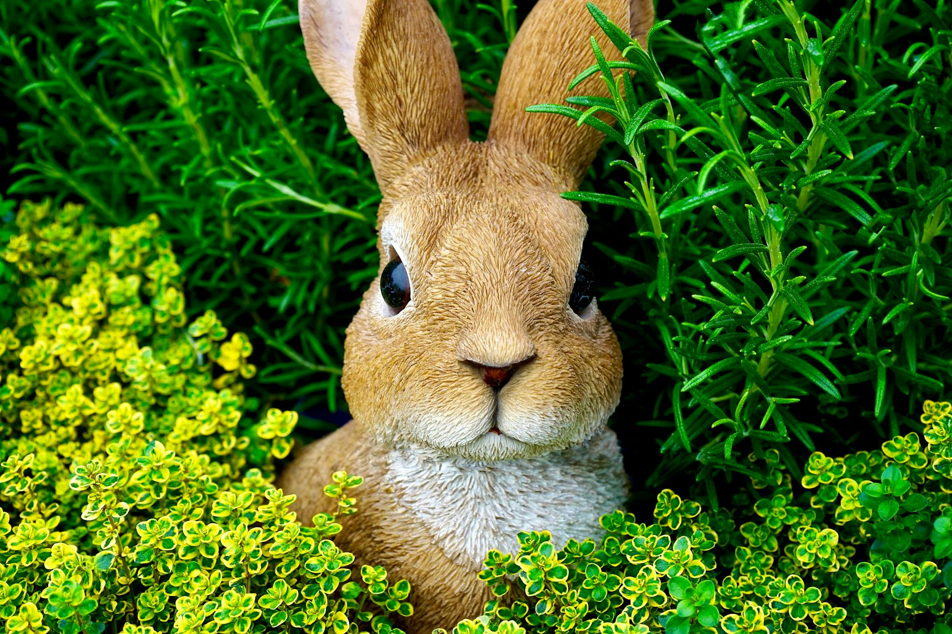 60 bunny puns
