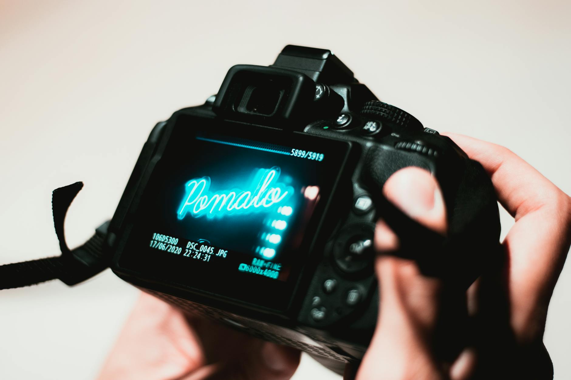 60 camera puns