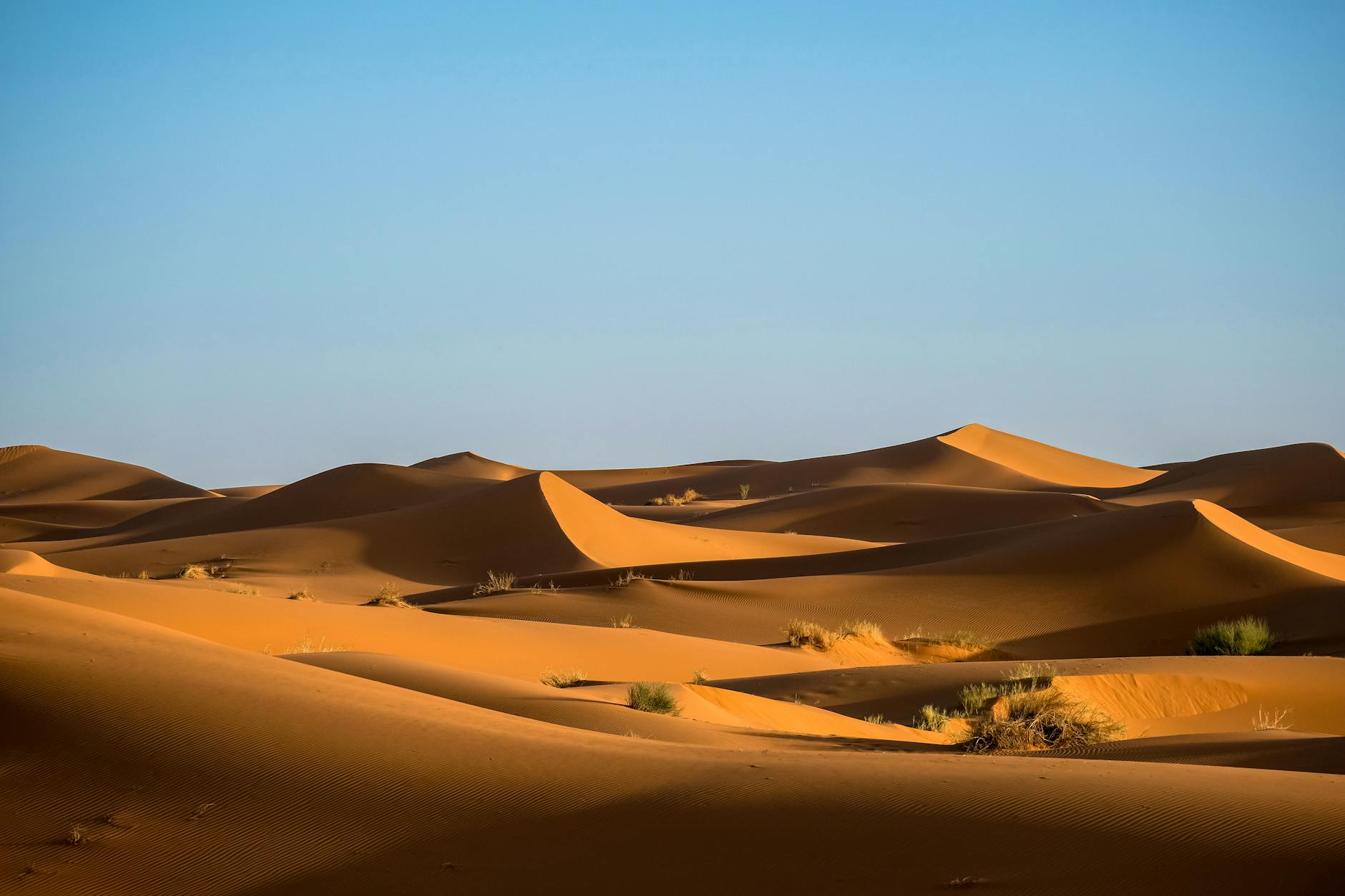 60 desert puns