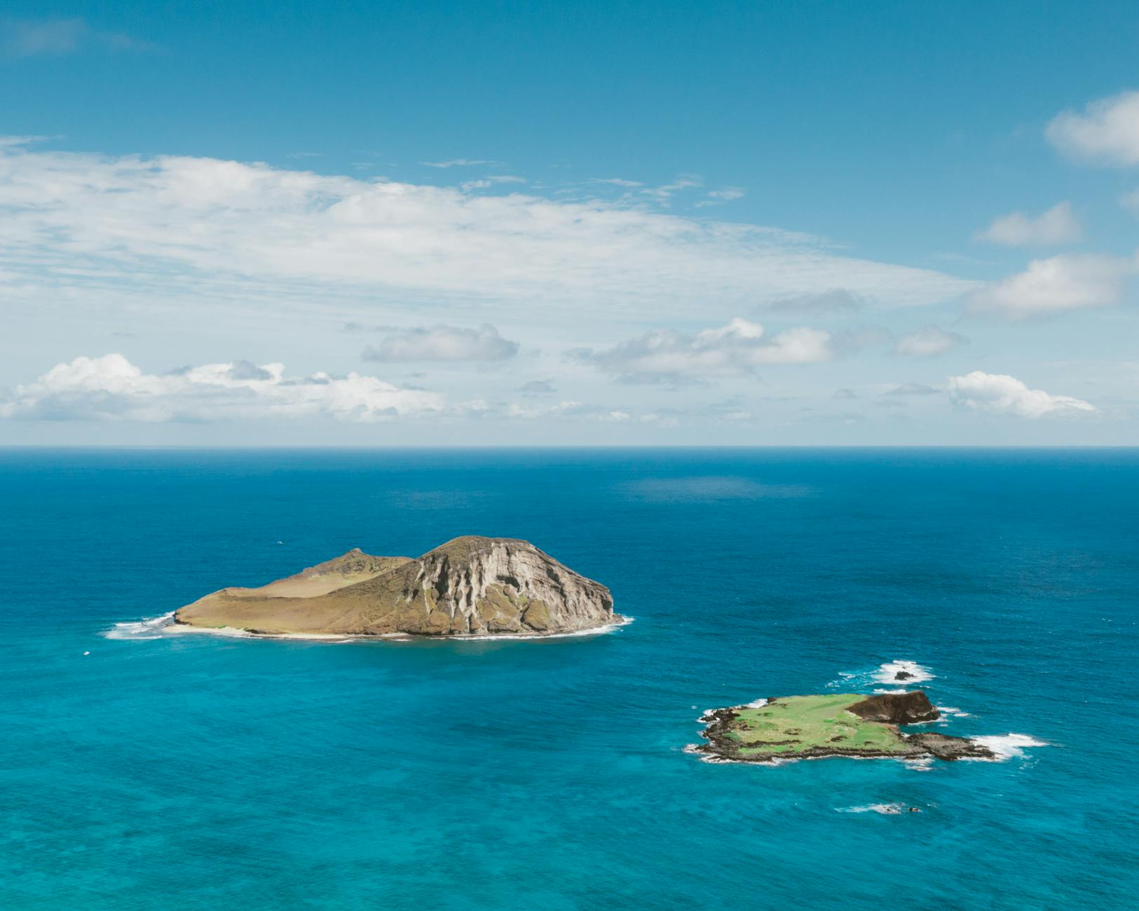 60 hawaii puns