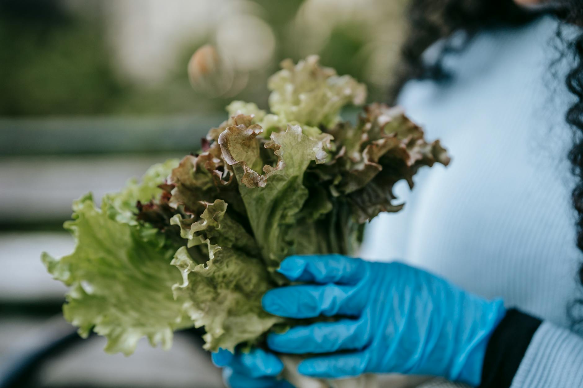 60 lettuce puns