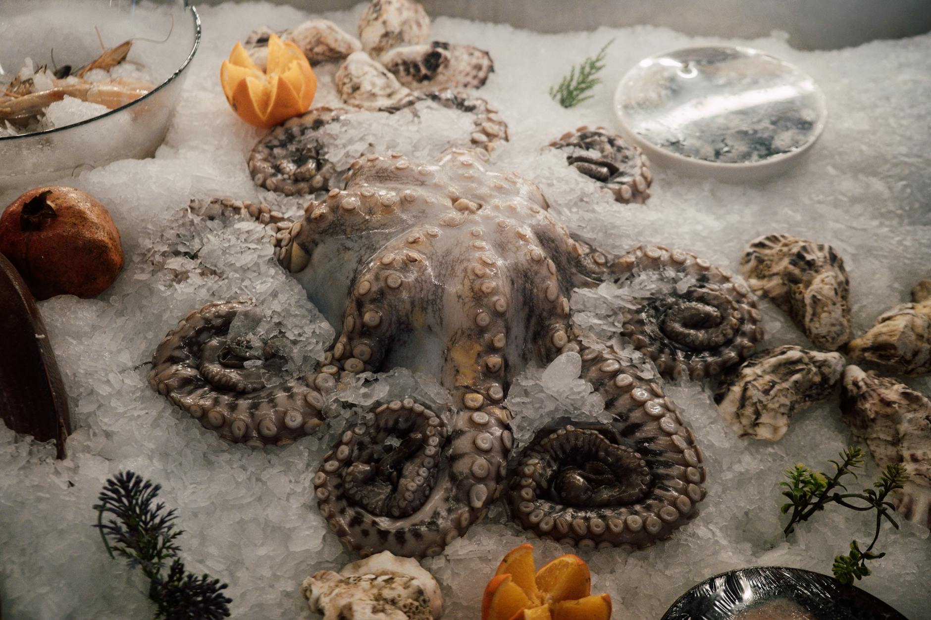 60 octopus puns