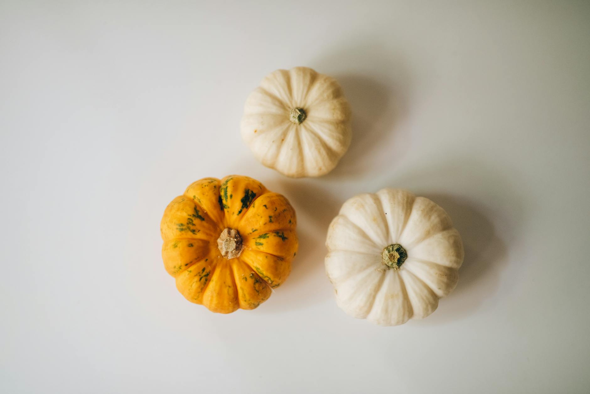 60 pumpkin puns
