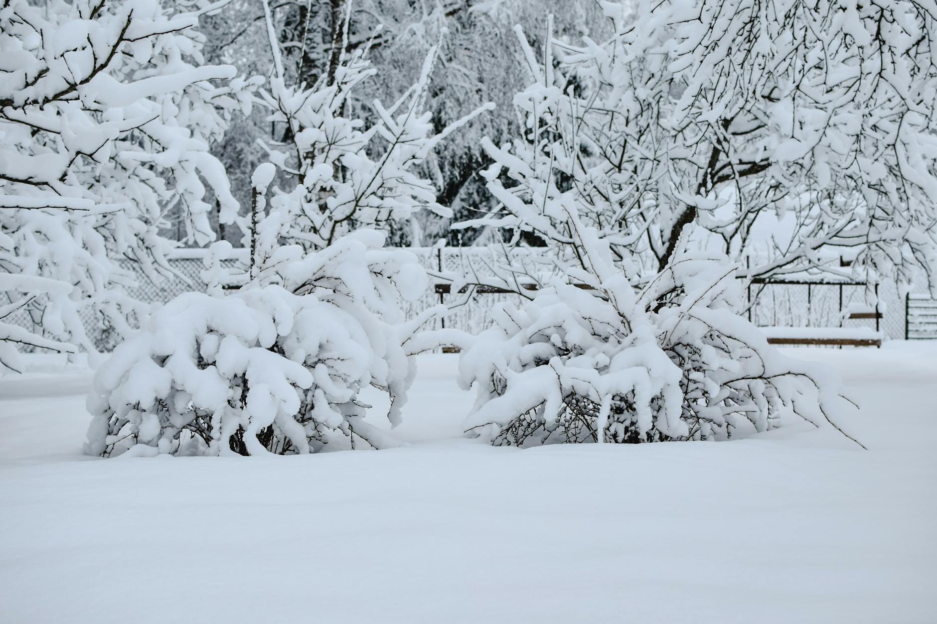 60 snow puns