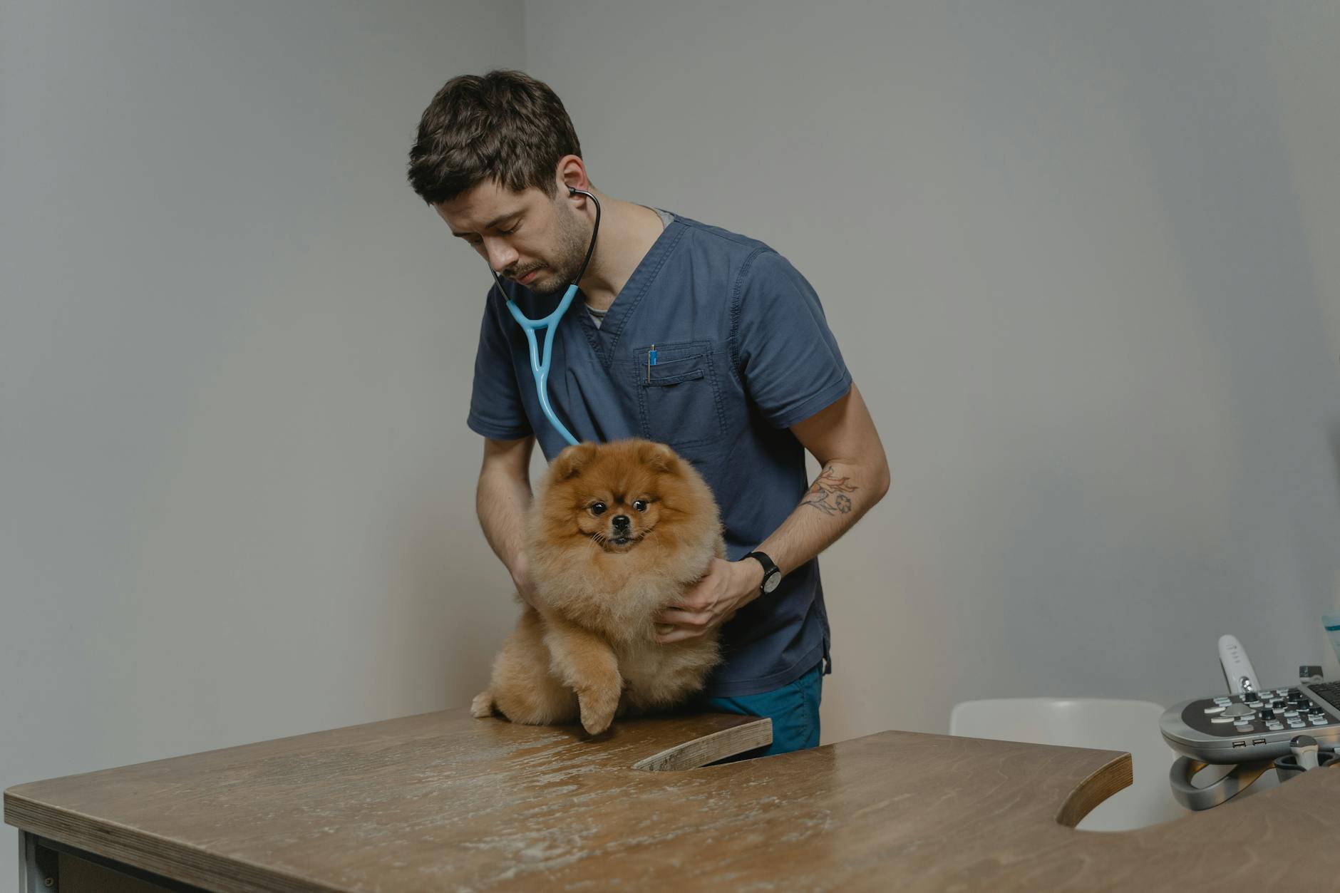 60 veterinary puns